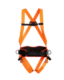 Cinto de Segurança tipo Paraquedista 2 pontos